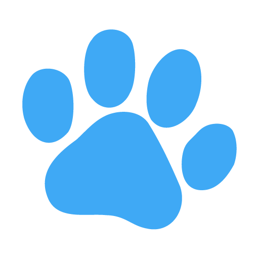 Chris Lowe / Managing Partner 