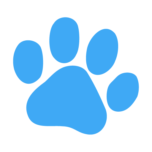 Chris Lowe / Managing Partner 